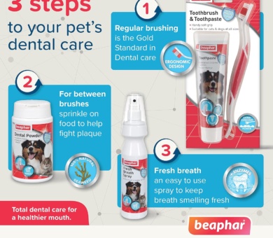 Beaphar, Double - Ended Toothbrush, Dental Care for Dogs & Cats, Targets Hard - to - Reach Areas, Helps Prevent Bad Breath and Combat Plaque, Suitable for All Mouth Sizes, Red, White, 1 Count