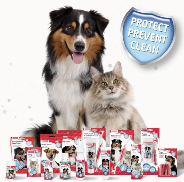 Beaphar, Double - Ended Toothbrush, Dental Care for Dogs & Cats, Targets Hard - to - Reach Areas, Helps Prevent Bad Breath and Combat Plaque, Suitable for All Mouth Sizes, Red, White, 1 Count - Image 6
