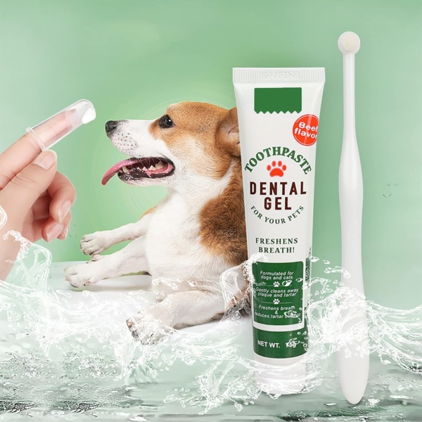 Pet Toothbrush and Toothpaste Teeth Brushing Kit Dog Cat Finger Toothbrush with Toothpaste Kit Beef Flavor Toothpaste Dog Plaque Removal Health Supplies - Image 5