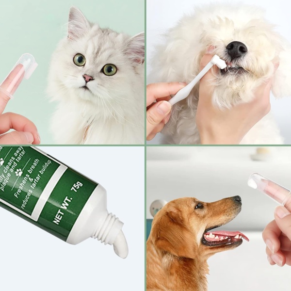 Pet Toothbrush and Toothpaste Teeth Brushing Kit Dog Cat Finger Toothbrush with Toothpaste Kit Beef Flavor Toothpaste Dog Plaque Removal Health Supplies - Image 8