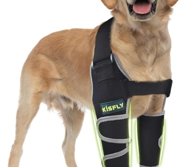 Dog Elbow Brace for Canine Elbow and Shoulder Support Dysplasia Osteoarthritis Elbow Calluses Pressure Sores Dog Elbow Pads for Better Recovery with Reflective Both Legs XS