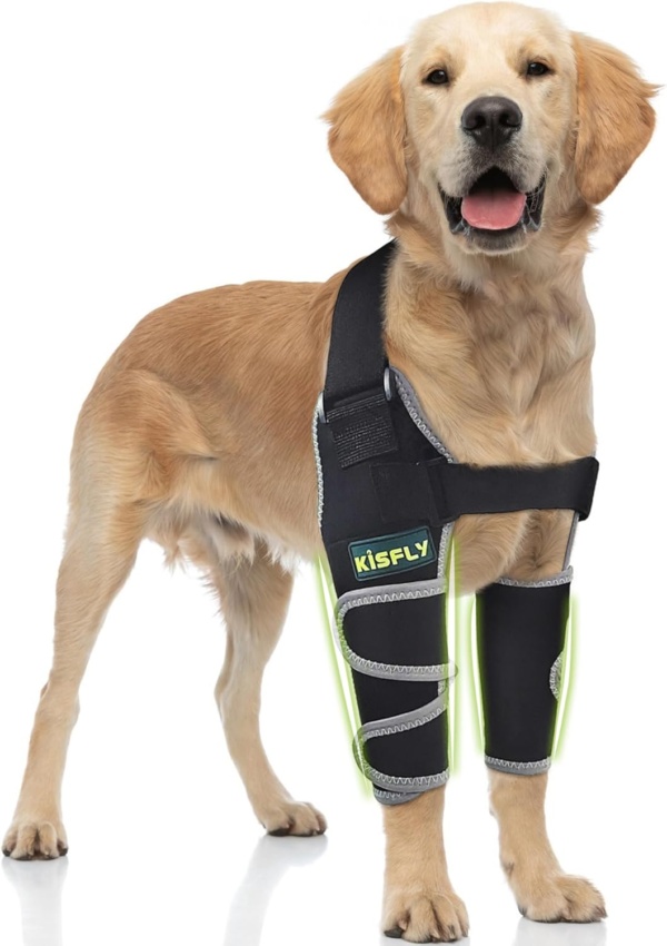 Dog Elbow Brace for Canine Elbow and Shoulder Support Dysplasia Osteoarthritis Elbow Calluses Pressure Sores Dog Elbow Pads for Better Recovery with Reflective Both Legs XS