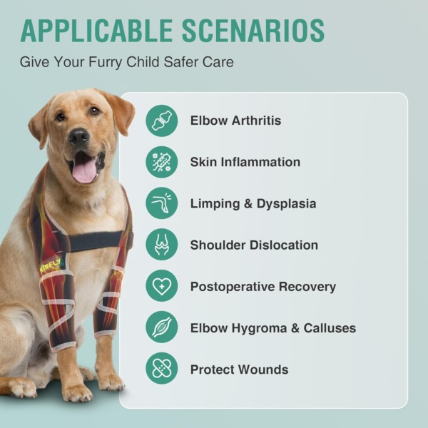 Dog Elbow Brace for Canine Elbow and Shoulder Support Dysplasia Osteoarthritis Elbow Calluses Pressure Sores Dog Elbow Pads for Better Recovery with Reflective Both Legs XS - Image 2
