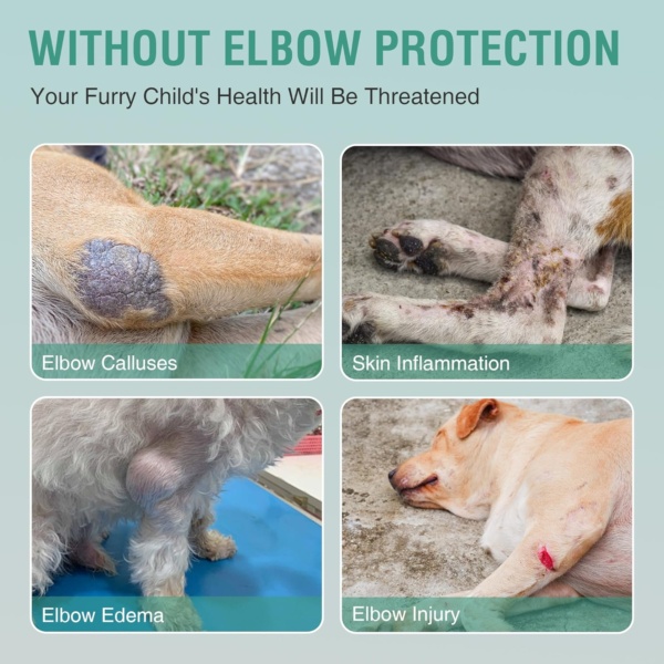 Dog Elbow Brace for Canine Elbow and Shoulder Support Dysplasia Osteoarthritis Elbow Calluses Pressure Sores Dog Elbow Pads for Better Recovery with Reflective Both Legs XS - Image 3