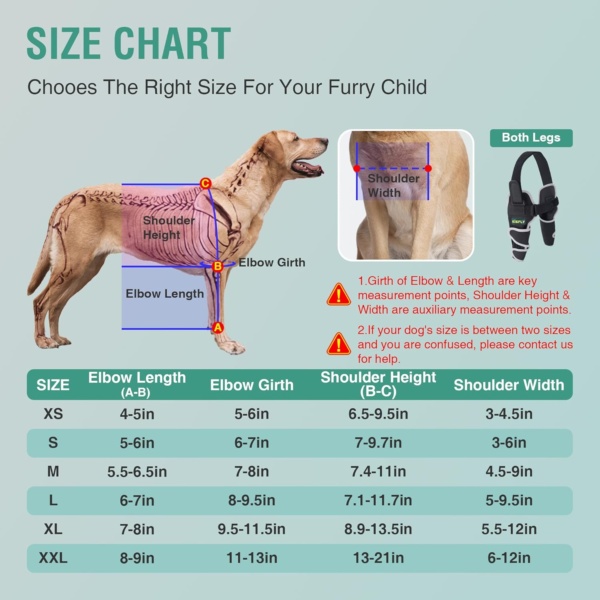 Dog Elbow Brace for Canine Elbow and Shoulder Support Dysplasia Osteoarthritis Elbow Calluses Pressure Sores Dog Elbow Pads for Better Recovery with Reflective Both Legs XS - Image 6