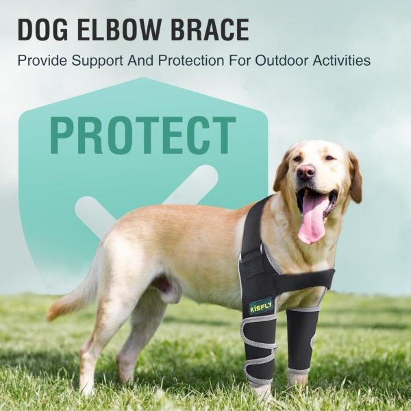 Dog Elbow Brace for Canine Elbow and Shoulder Support Dysplasia Osteoarthritis Elbow Calluses Pressure Sores Dog Elbow Pads for Better Recovery with Reflective Both Legs XS - Image 7