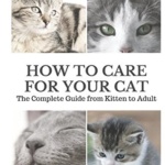 How to Care for Your Cat: The Complete Guide from Kitten to Adult: A guide to caring for your cat including food, nutrition, behaviour, habits, training and vaccinations