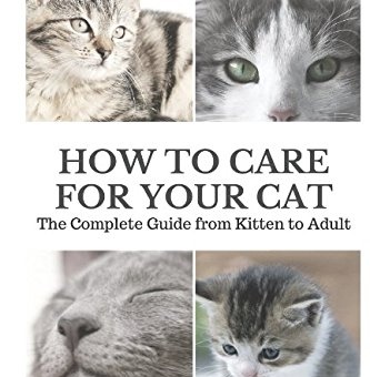 How to Care for Your Cat: The Complete Guide from Kitten to Adult: A guide to caring for your cat including food, nutrition, behaviour, habits, training and vaccinations