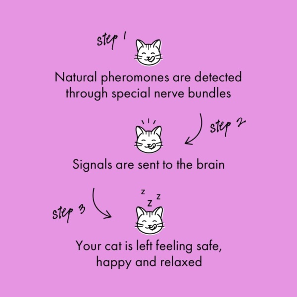 Chill Out Starter Kit for Cats | Calming Pheromones Plug in Diffuser and 30-Day Refill | Anxiety and Stress Relief - Image 4