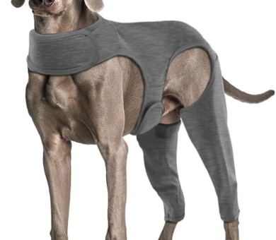 Dog Surgery Recovery Suit - Leg Wound Protector Brace, Comfortable Elbow Protector Cone Alternative - Prevent Licking & Bite - Long Sleeve Suits - Leg Brace Support (Grey, XL)