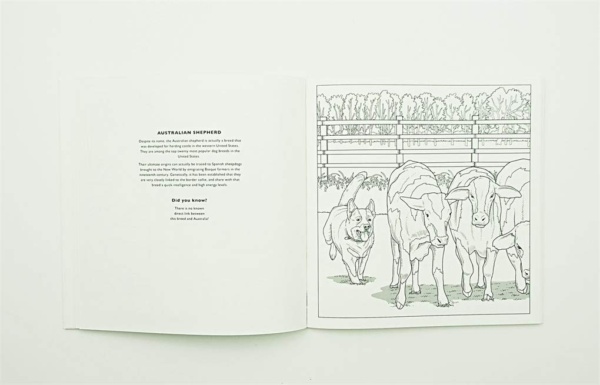 All About the Dog: A Battersea Dogs & Cats Home Colouring Book - Image 7