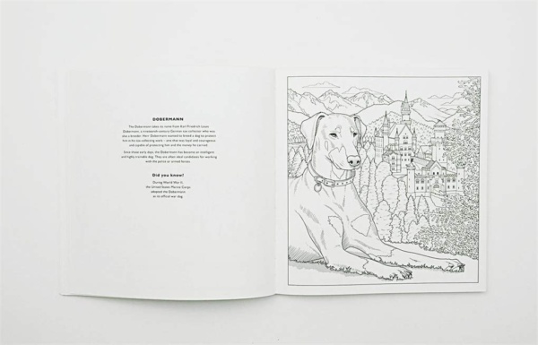 All About the Dog: A Battersea Dogs & Cats Home Colouring Book - Image 2