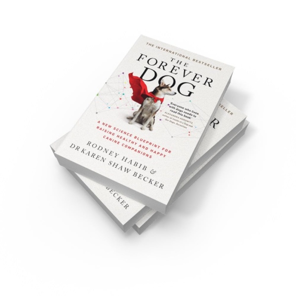 The Forever Dog: The New York Times and Sunday Times Bestselling Dog Care Guide - Image 9