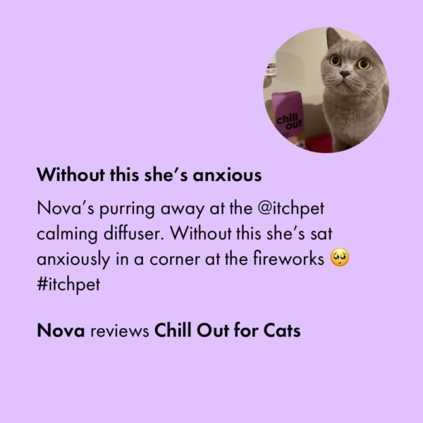 Chill Out Starter Kit for Cats | Calming Pheromones Plug in Diffuser and 30-Day Refill | Anxiety and Stress Relief - Image 6