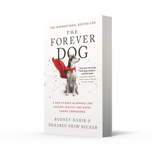 The Forever Dog: The New York Times and Sunday Times Bestselling Dog Care Guide - Image 2