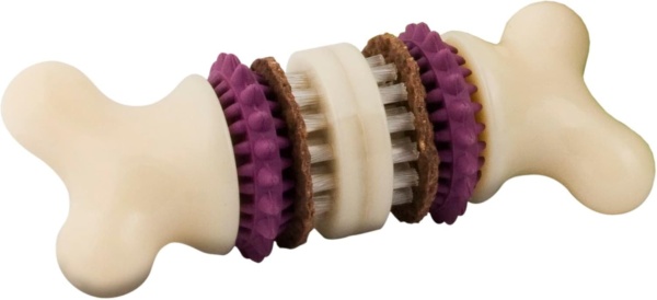Premier PetSafe Busy Buddy Bristle Bone S Durable Dog Chew Toy, Dog Toy Bone with Treat Rings for Dental Health, Small Dogs
