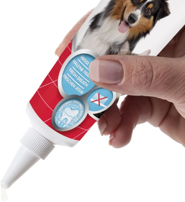 Beaphar | Advanced-Enzyme Toothgel | Dental Care Dogs & Cats | Non-Brush Alternative | Helps Prevent Bad Breath & Combat Plaque | 100g Tube - Image 2