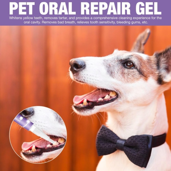 Pet Oral Repair Gel, 6PCS Dog Teeth Cleaning Products, Pet Oral Restoration Whitening Gel, Pet Toothbrush Pen, Pet Breath Freshener for Dogs & Cats, Keep Your Pet Oral Healthy - Image 5