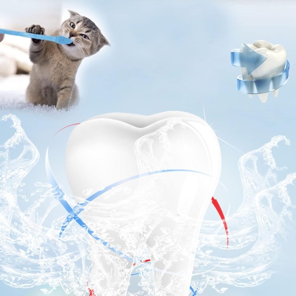 10pcs Dog Toothbrush, DKDDSSS Long Handle Double Head Dog Toothbrushes, Cat Teeth Cleaning Toothbrush, for Pet Dogs Cats Puppy Dental Care Toothbrush - Image 2