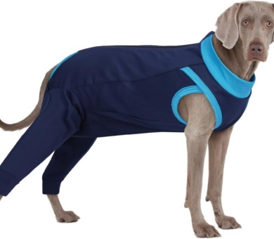PUMYPOREITY Dog Post Surgery Body Suit, Dog Operation Recovery Suit Female Dog Anti Licking Sleeve Dog Castration Recovery Suit Male(Navy blue, 2XL)