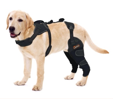 Dog Hind Leg Knee Brace, Hind Leg ACL Brace for Mild Arthritis, Patellar Luxation Dog Knee Brace, Hind Leg Support Dog Protective Gear, Arthritis Pain Relief, Dog Hind Leg ACL Knee Brace