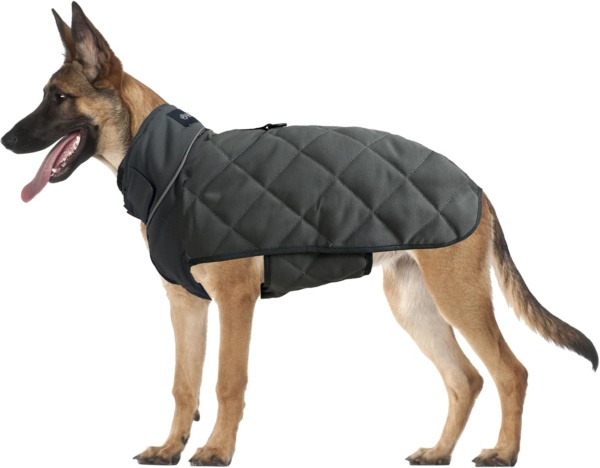 Weighted Dog Vest, Tactical Weight Coat with Beads for Dogs Anxiety- Relieve Stress, Build Muscle & Optimize Health, Premium Heavy Duty Dog Training Jacket for Exercise and Strength (Blue, XXL)
