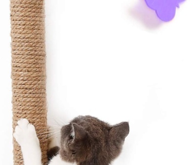 Cat Scratcher Post with Cat Toy. No Nails Required and Portable. for Wall, Window, Floor and Any Other Suction Cup Surface. Protect and Guard Furniture. Beneficial for Cat Health and Behavior.
