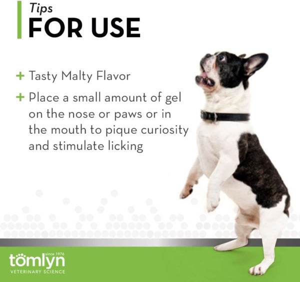 Nutri-Stat Malt-Flavored High Calorie-Nutritional Gel for Dogs & Cats, 4.25oz - Image 6