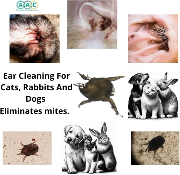 AAC Advanced Animal Care Thorned@Canker 30g For Ears & Paws. Itchy, Inflammed,Sore, Waxy, Dirty, Smelly Canker/Mites Treatment For Dogs Cats Rabbits - Image 4