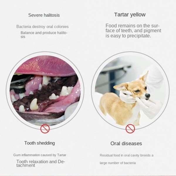 Dog Brush Cat Pet Puppy Gum Finger Toothbrush Dental Care Teeth Cleaning Supplies Kit for Dogs, 2 Pcs 360° Silicone - Image 8