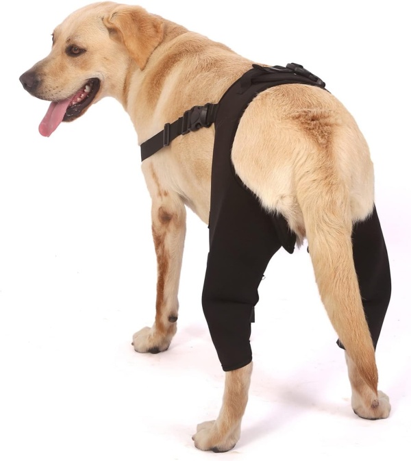 SMALLLEE_LUCKY_STORE Dog Knee Brace for Back Leg Torn ACL Neoprene Canine Stifle Support Hip Hock Joint Compression Wrap Sprains Injury Protection Loss of Stability from Arthritis Relieve Pain - Image 2