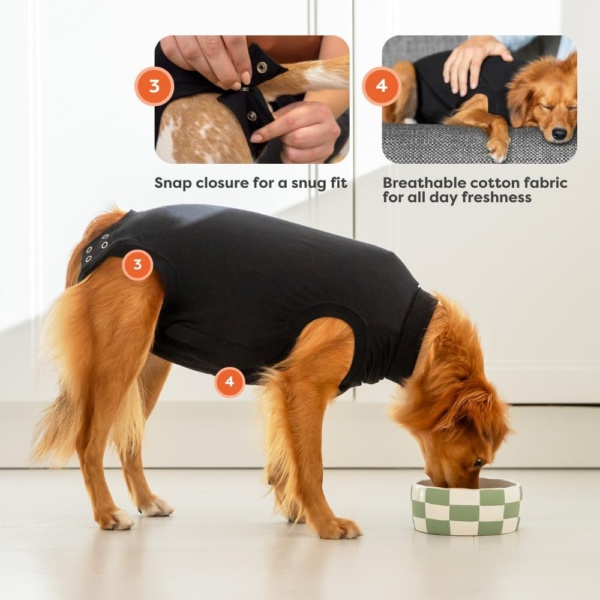 Recovery Suit Dog, XXX-Small, Black - Image 3