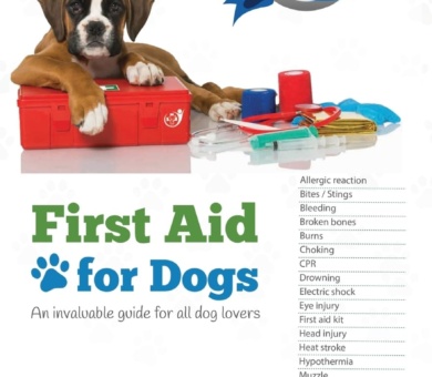 First Aid for Dogs: An invaluable guide for all dog lovers