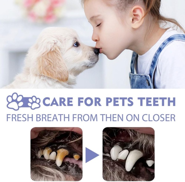 Pets Dental Teeth Cleaning Spray,Pets Oral Spray,Pet Oral Spray for Dogs and Cats,Teeth Cleaning Spray,Pets Dental Care Bad Breath Treatment,Breath Freshener Spray Natural - Image 4