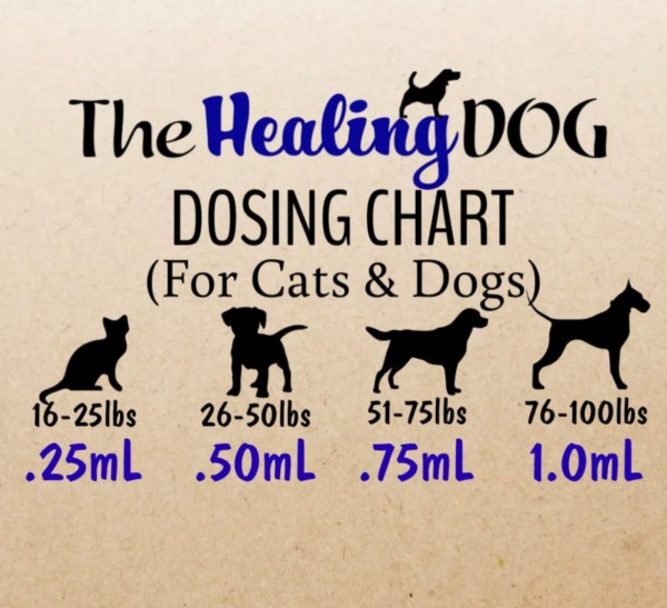 THD - Hemp Oil for Cats & Dogs - 300mg - Image 5