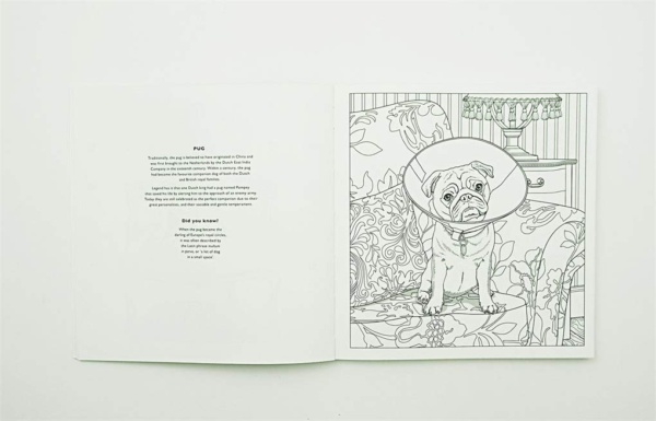 All About the Dog: A Battersea Dogs & Cats Home Colouring Book - Image 3