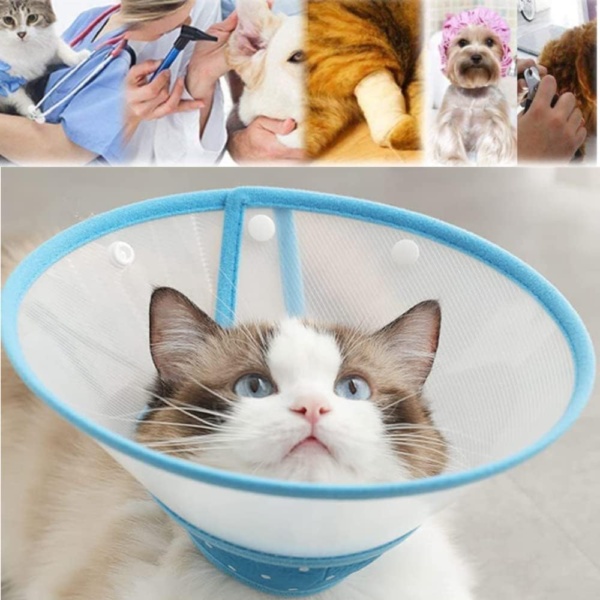 Pet Cone,Dog Cone Adjustable Collar,Protect The Neck Surgery Recovery,for Puppies,Small Dogs and Cats (S, White,Bule) - Image 5