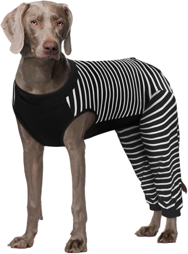 Kuoser Dog Surgery Recovery Suit - Female Hind Legs Post Surgery Body Suit Black 2XL
