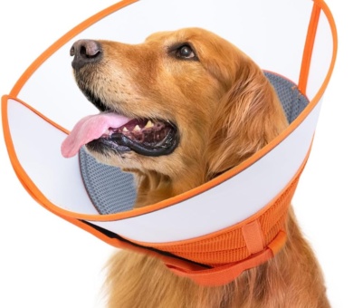 Dog Cone Collar Large,Soft Dog Cone With Adjustable Buckle,Anti- Bite Elizabethan Collars For Dog & Cats, Pet Collar Comfy Cone Neck Collar After Surgery (Orange, L(15.7''-18.9''))