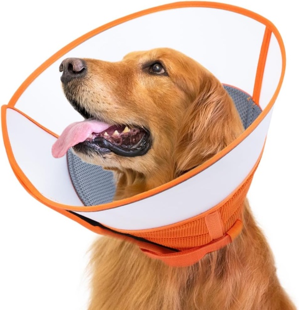 Dog Cone Collar Large,Soft Dog Cone With Adjustable Buckle,Anti- Bite Elizabethan Collars For Dog & Cats, Pet Collar Comfy Cone Neck Collar After Surgery (Orange, L(15.7''-18.9''))
