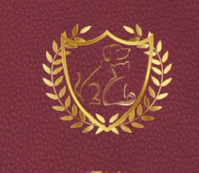 International Pet Passport: Perfect Pet Passport & Medical Record for Pet Health and Travel: | Vaccine Record Book | Pet Passport for Dogs, Cats, Other Animals | red