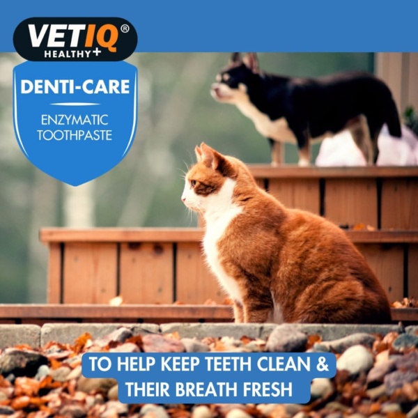 VETIQ Denti-Care Enzymatic Toothpaste Twin Pack for Cats 3+ Months & Dogs 2+ Months, Designed to Help Clean Teeth, Support Gum Health & Freshen Breath (2 x 70 g) - Image 6