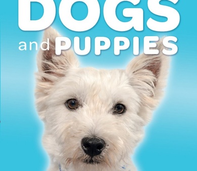 Battersea Dogs and Cats Home Pet Care Guides: Dog Care