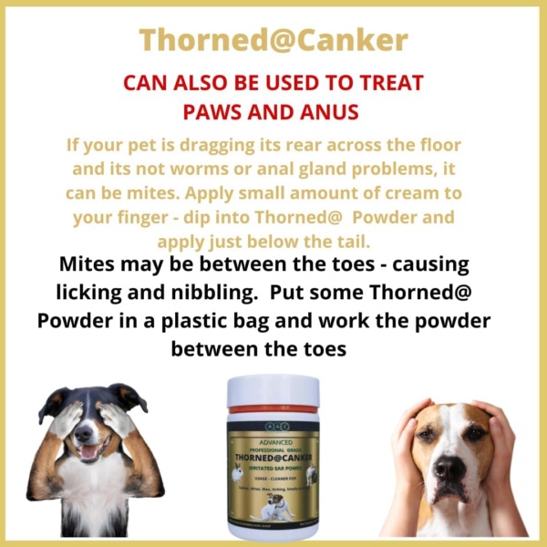 AAC Advanced Animal Care Thorned@Canker 30g For Ears & Paws. Itchy, Inflammed,Sore, Waxy, Dirty, Smelly Canker/Mites Treatment For Dogs Cats Rabbits - Image 3