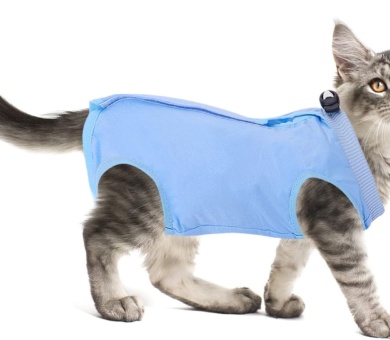 Cat Professional Recovery Suit for Abdominal Wounds or Skin Diseases, After Surgery E-Collar Alternative for Cats Anti Licking Pajama Suit Kittens Surgery Recovery Suit (Blue, M Size)
