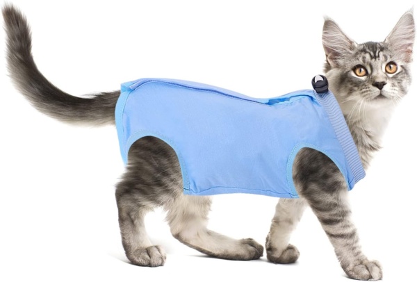 Cat Professional Recovery Suit for Abdominal Wounds or Skin Diseases, After Surgery E-Collar Alternative for Cats Anti Licking Pajama Suit Kittens Surgery Recovery Suit (Blue, M Size)