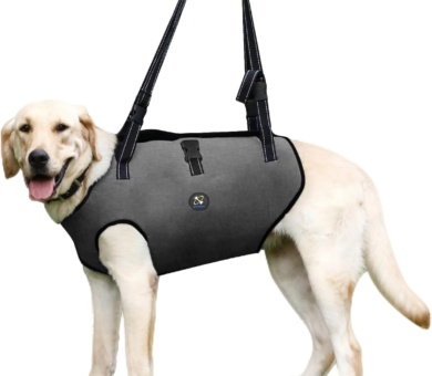 Coodeo Dog Lift Harness, Pet Support & Rehabilitation Sling Lift Adjustable Padded Breathable Straps for Old, Disabled, Joint Injuries, Arthritis, Loss of Stability Dogs Walk (Black, M)