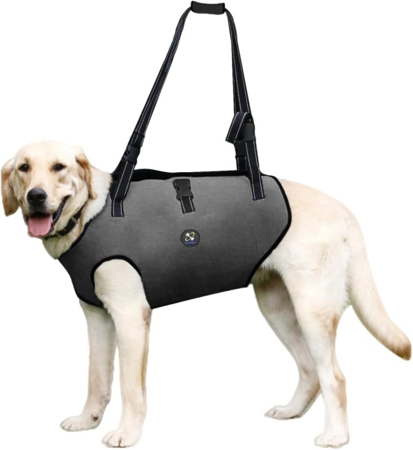 Coodeo Dog Lift Harness, Pet Support & Rehabilitation Sling Lift Adjustable Padded Breathable Straps for Old, Disabled, Joint Injuries, Arthritis, Loss of Stability Dogs Walk (Black, M)