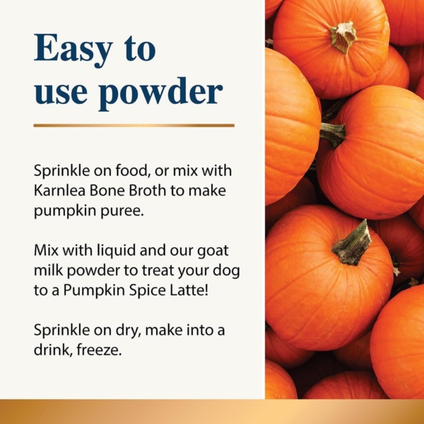 Pumpkin & Spice Whole Food Supplement Topper for Dogs 200g | Superior Pumpkin Powder with Added Gut Healthy Spices | Pumpkin Spice| Fibre Rich, Prebiotic, Anal Gland Health| Scooting (2 x 200g) - Image 6