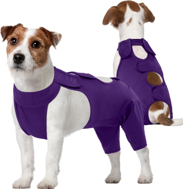 Kuoser Dog Recovery Suit - Post Surgery Body Suit with Legs, Comfortable Cone Alternative, Prevent Licking Dog Onesies, Purple S